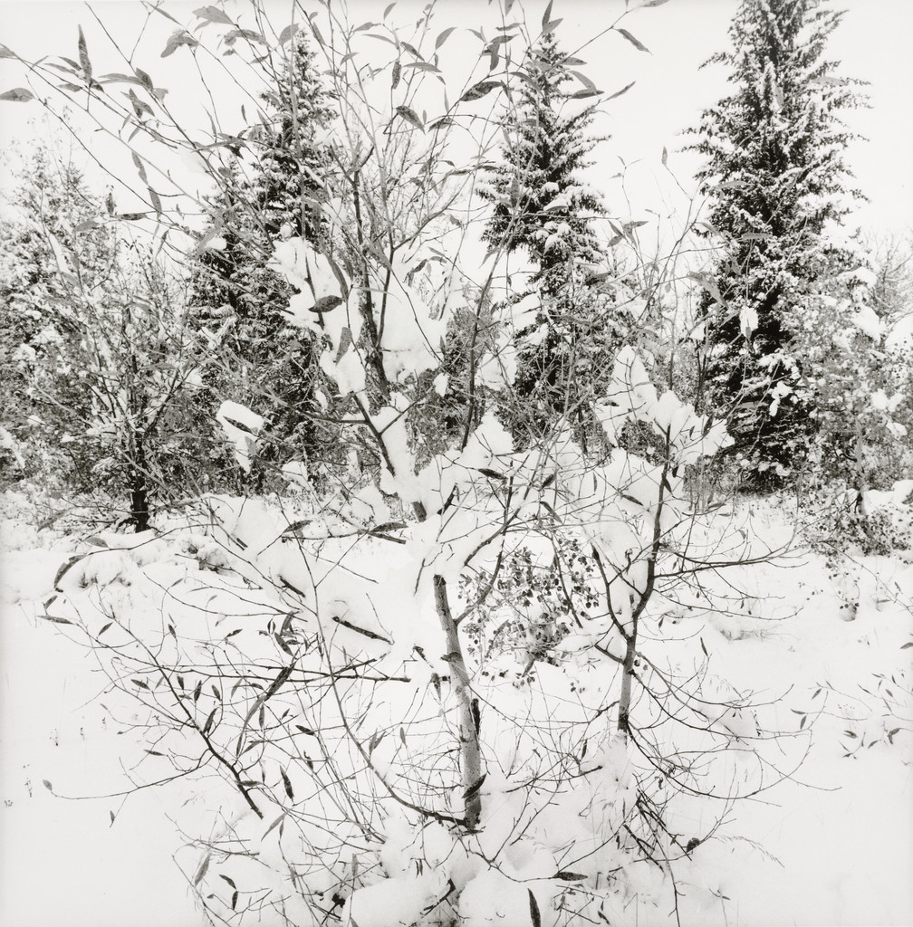 Tetons, Lee Friedlander, 2009