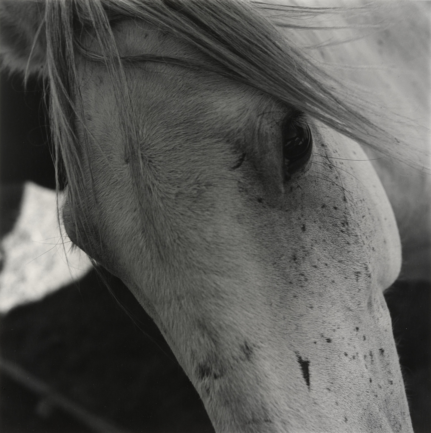 Jerome Liebling. Black Feet Reservation, Montana. 1962