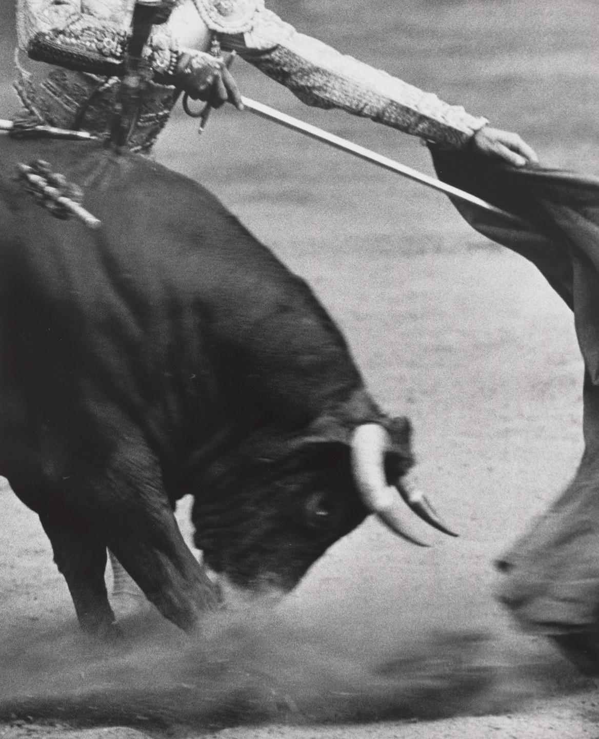 Peter H. Buckley. The Bull Attacks, Bilbao. 1951