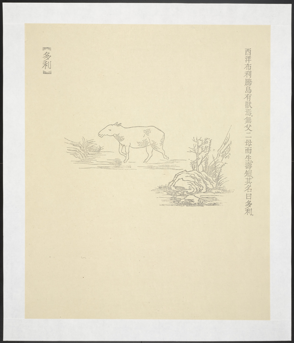 Qiu Anxiong. Duo Li from New Classic of Mountains and Seas. 2008