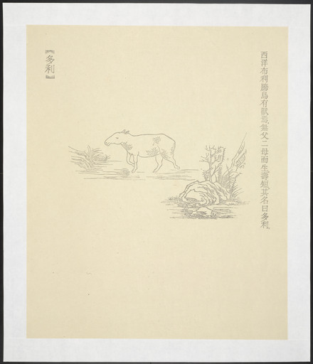 Duo Li from New Classic of Mountains and Seas