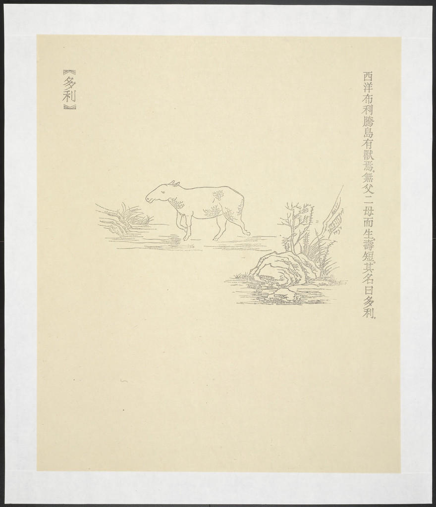 Duo Li from New Classic of Mountains and Seas