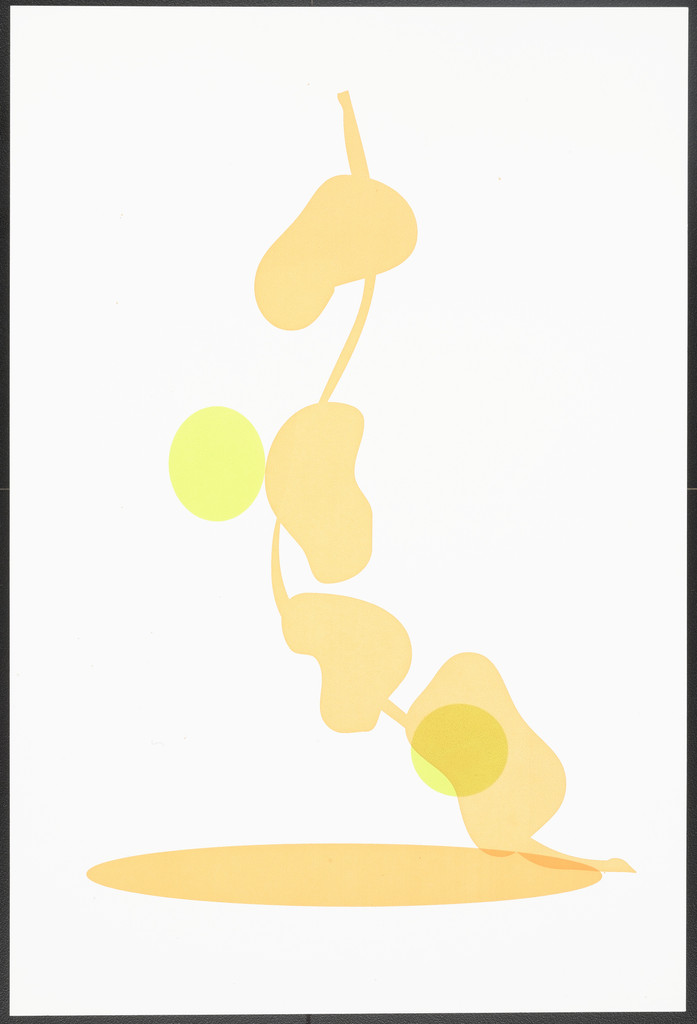 Untitled from Eucalyptus (Eukalyptus)