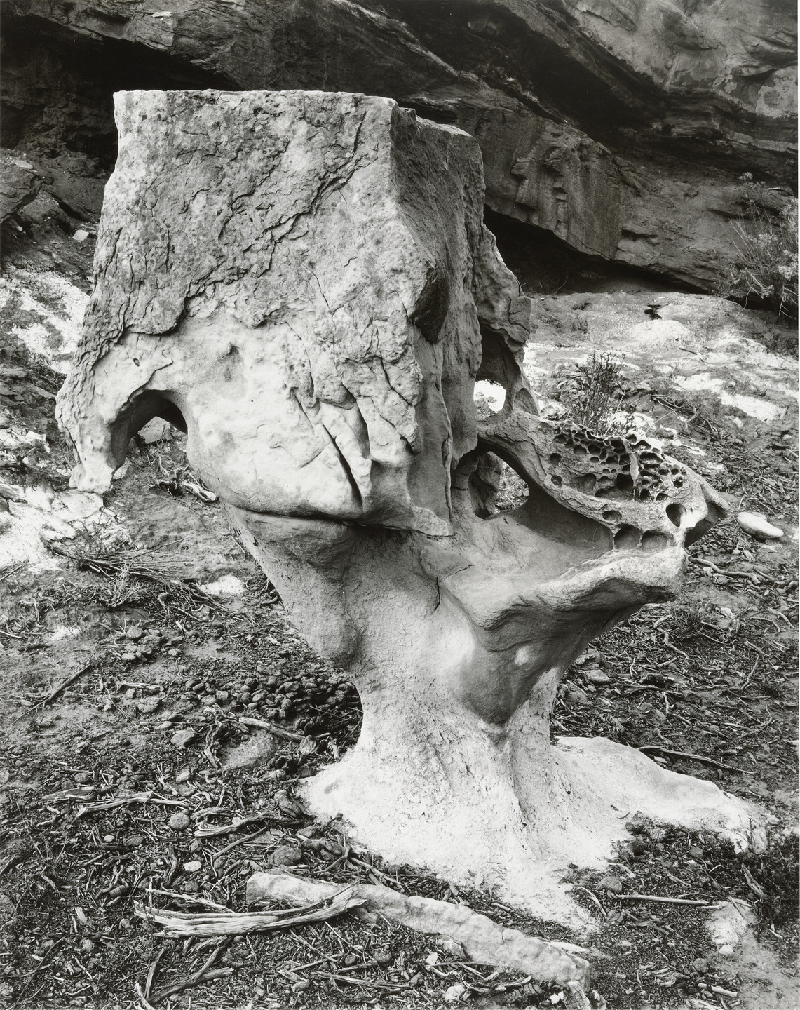 Frederick Sommer. Untitled. 1940