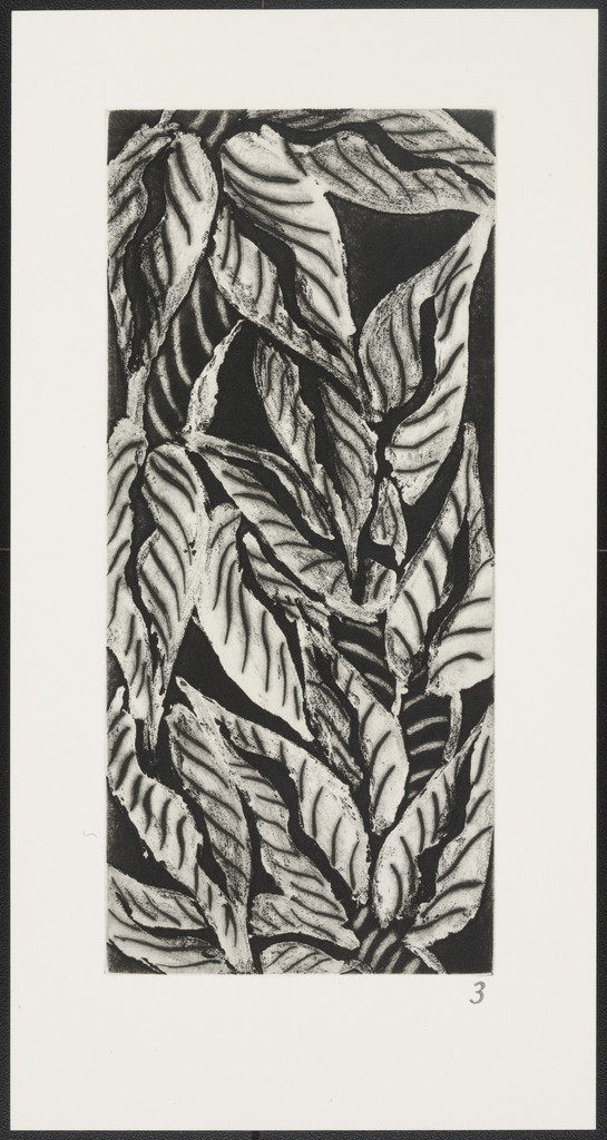 Leaves from The Joy of Ornament