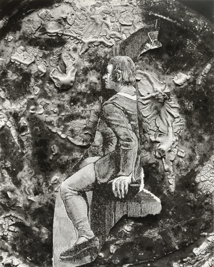 Idée et Orchidée