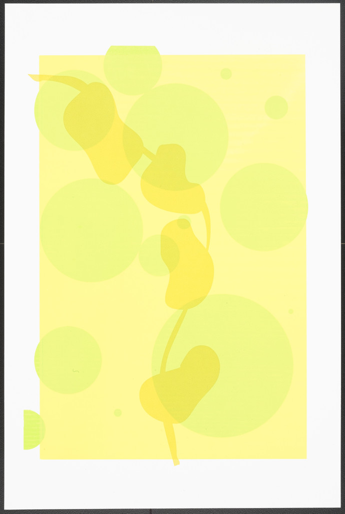 An