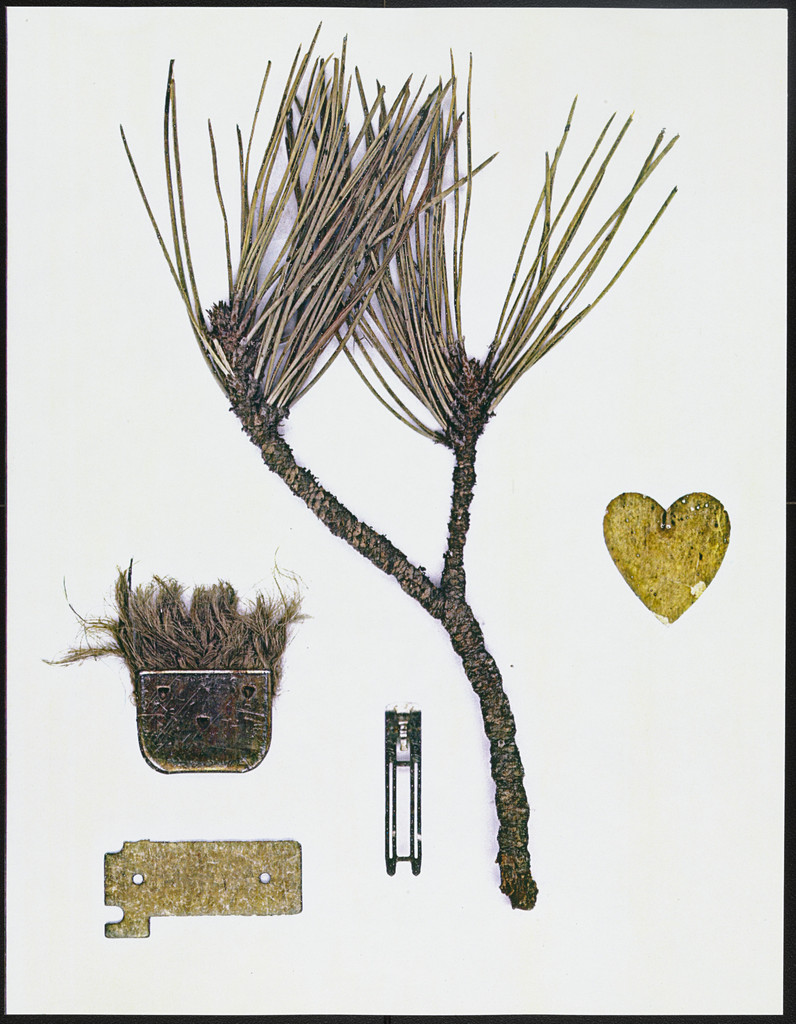 Untitled from Found Masks 1975–1978