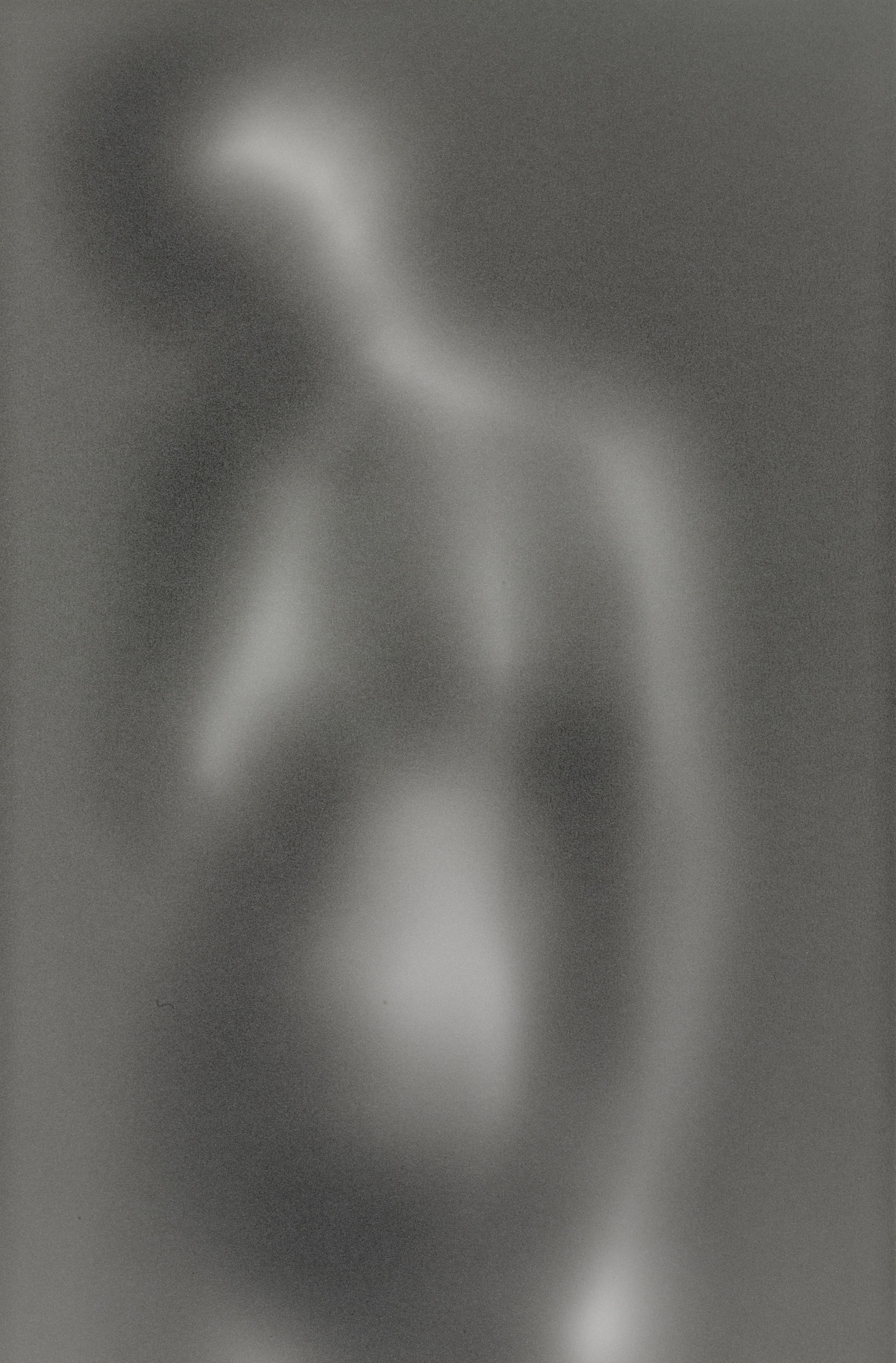 Frederick Sommer. Untitled