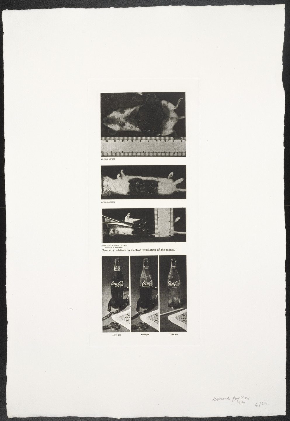 Eduardo Paolozzi. Geometry Relations in Electron Irradiation of a Mouse from The Conditional Probability Machine. 1970