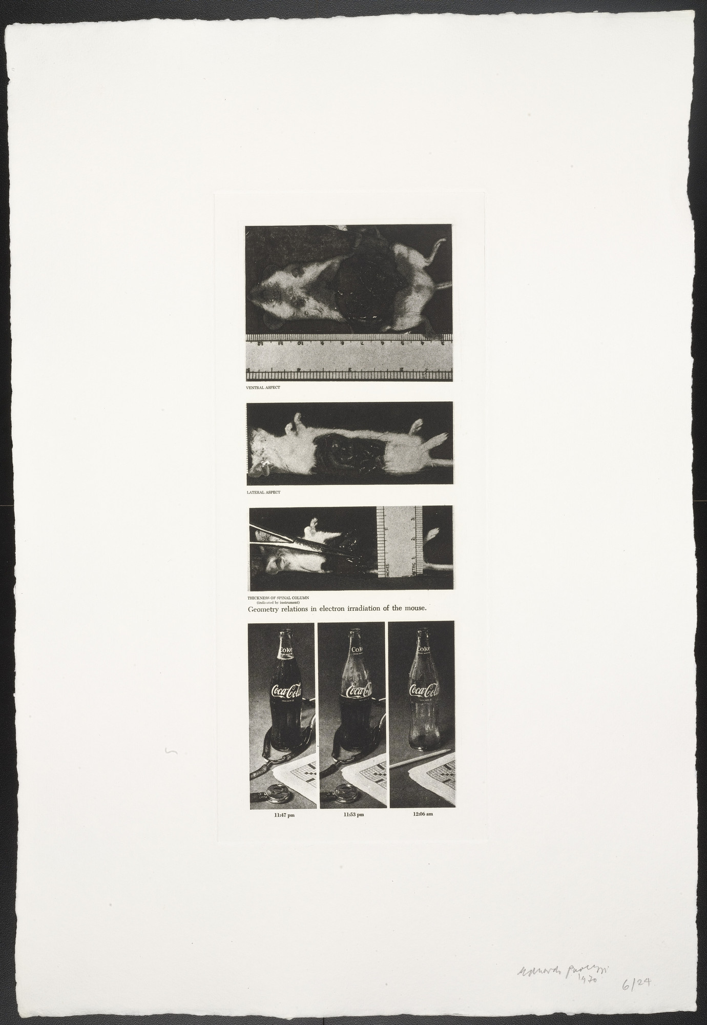 Eduardo Paolozzi. Geometry Relations in Electron Irradiation of a Mouse from The Conditional Probability Machine