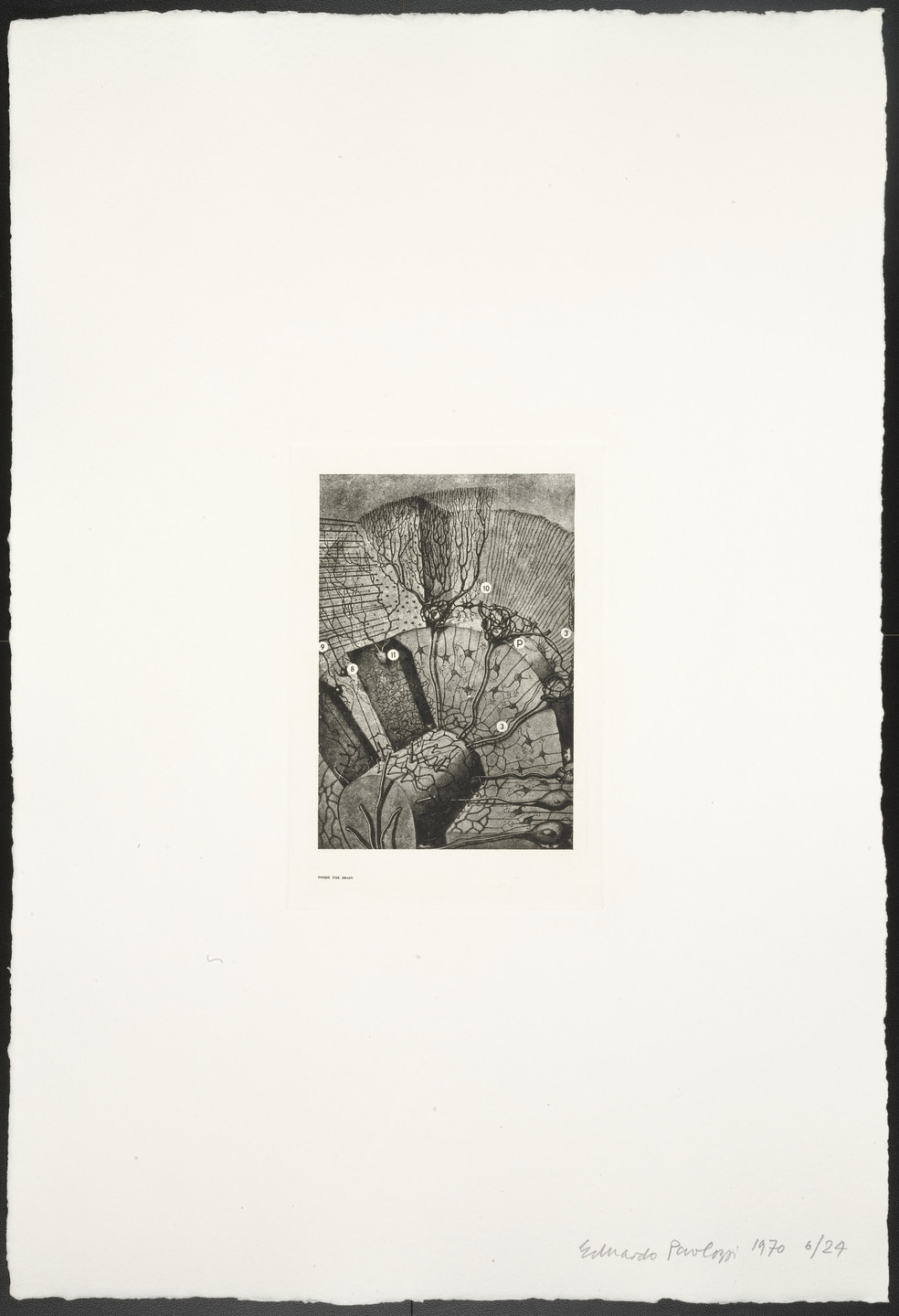 Eduardo Paolozzi. Inside the Brain from The Conditional Probability Machine. 1970