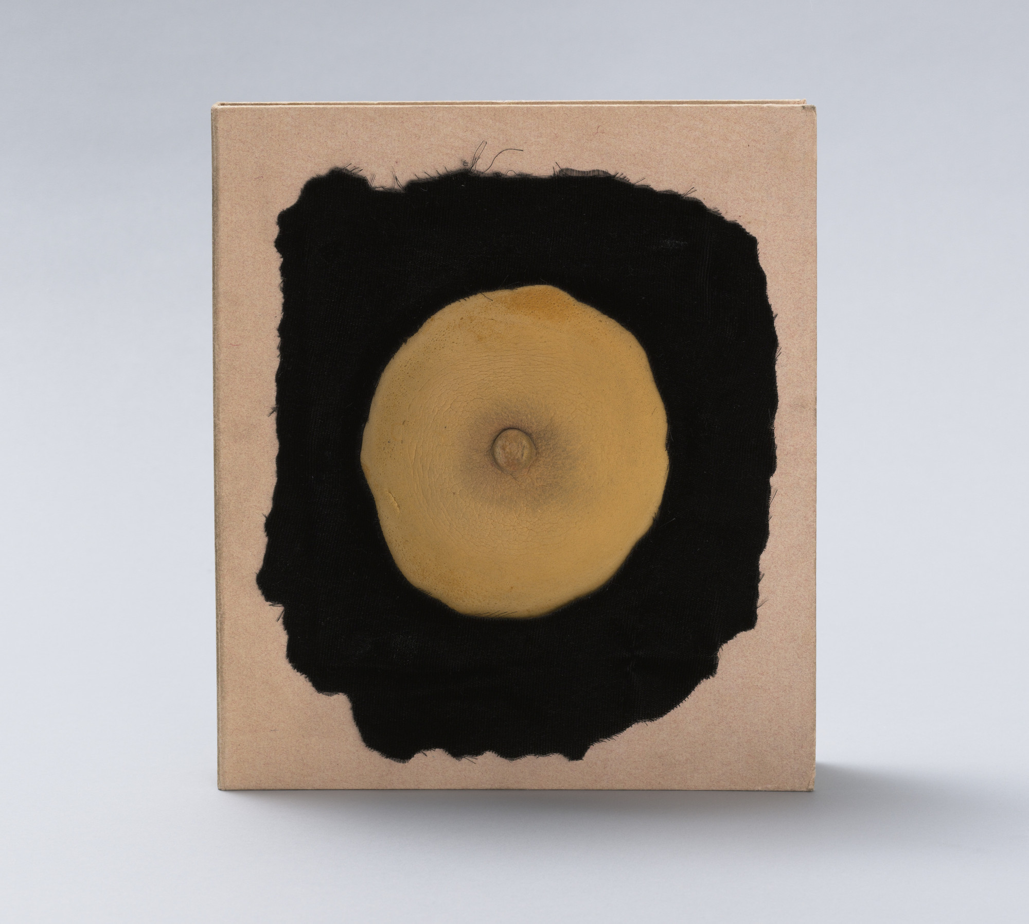 Marcel Duchamp. Cover for Le Surréalisme en 1947. 1947 | MoMA