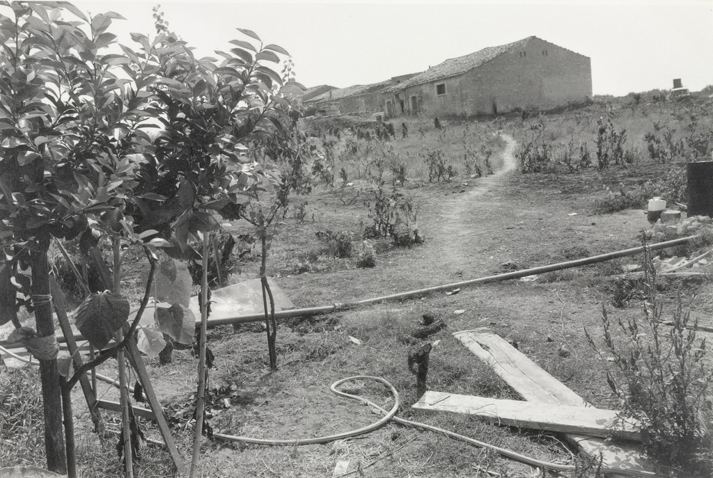 Gela, Sicily, Thomas Roma, 1982