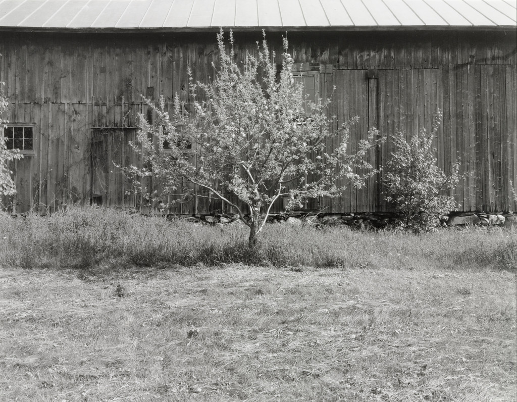 Mr. Bristol's Barn 4