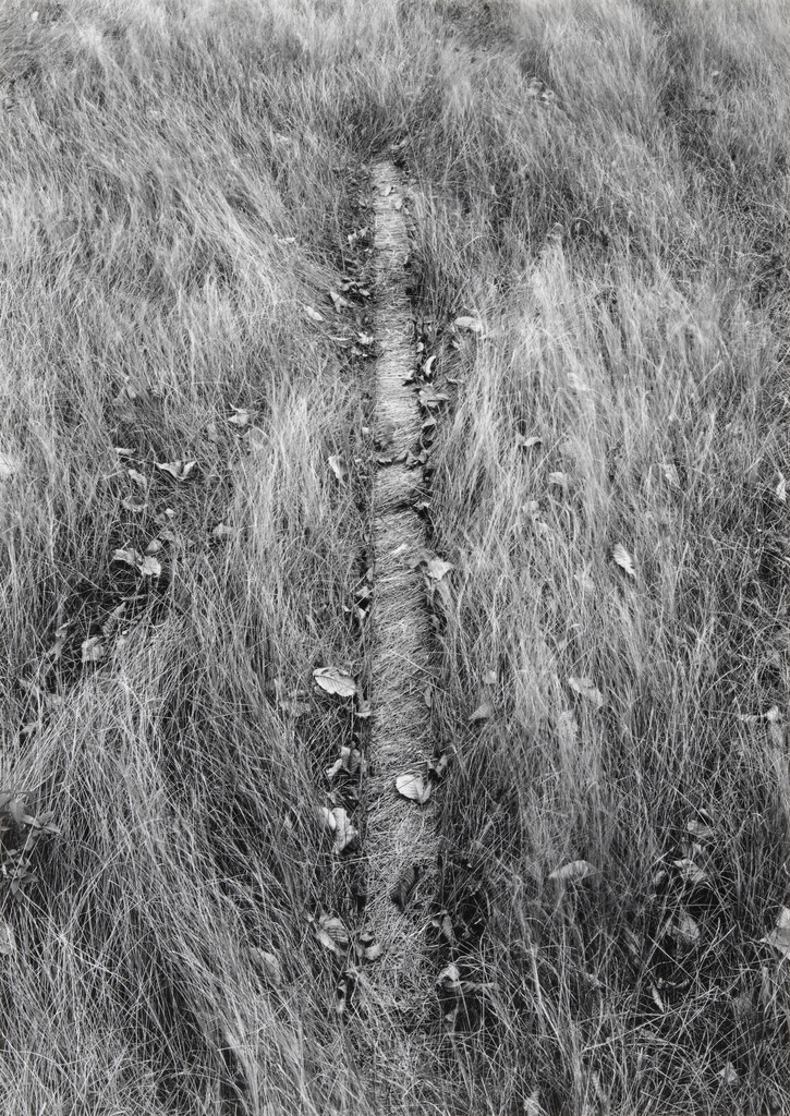 Wisconsin, Kenneth Josephson, 1964