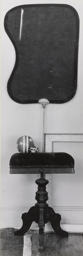 Composition: Photographer's Head Screnn, Posing Bench and Top