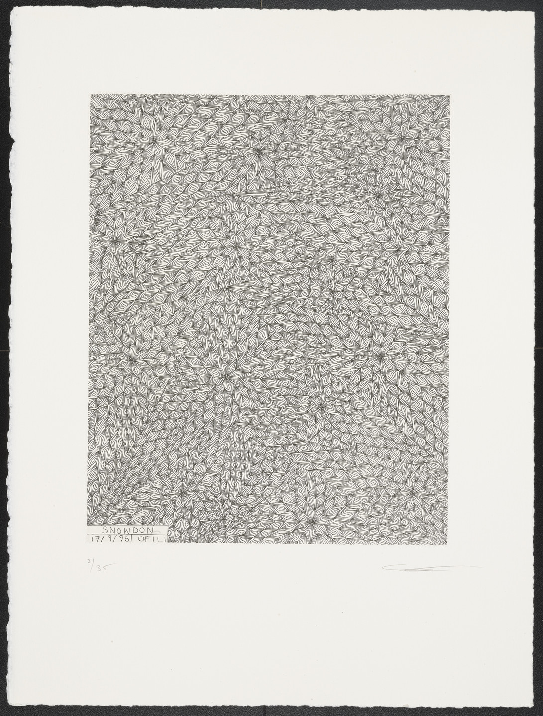 Chris Ofili. Snowdon from North Wales. 1996