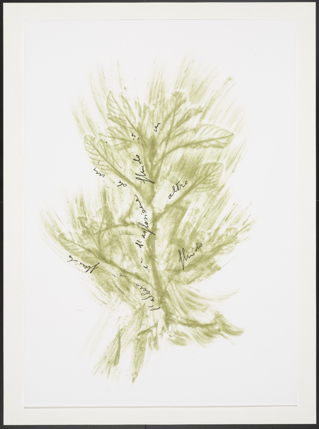 Giuseppe Penone. Untitled from Thirty-Three Herbs (Trentatre Erbe). 1989