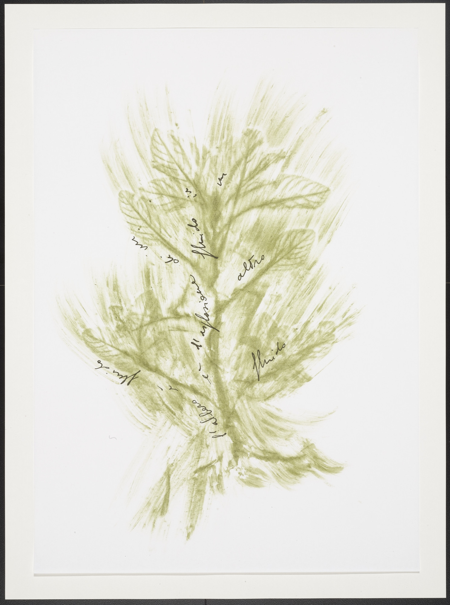 Giuseppe Penone. Untitled from Thirty-Three Herbs (Trentatre Erbe)