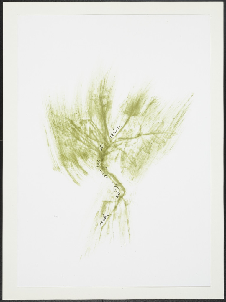 Untitled from Thirty-Three Herbs (Trentatre Erbe) by Giuseppe Penone