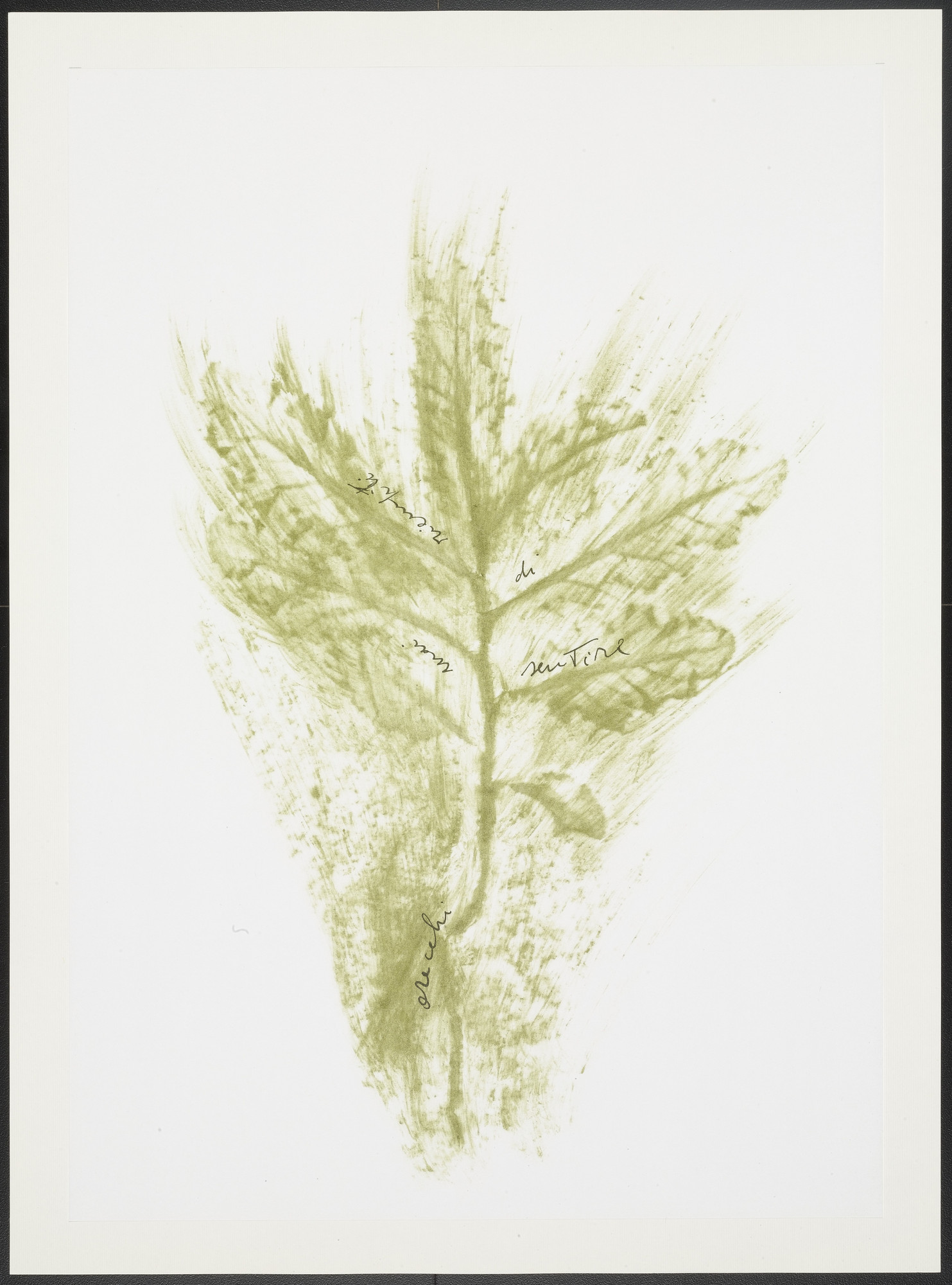 Giuseppe Penone. Untitled from Thirty-Three Herbs (Trentatre Erbe)