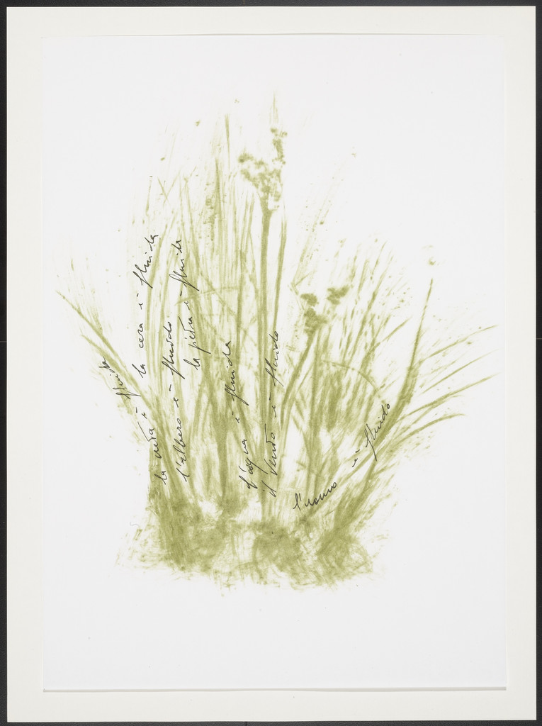 Untitled from Thirty-Three Herbs (Trentatre Erbe) by Giuseppe Penone
