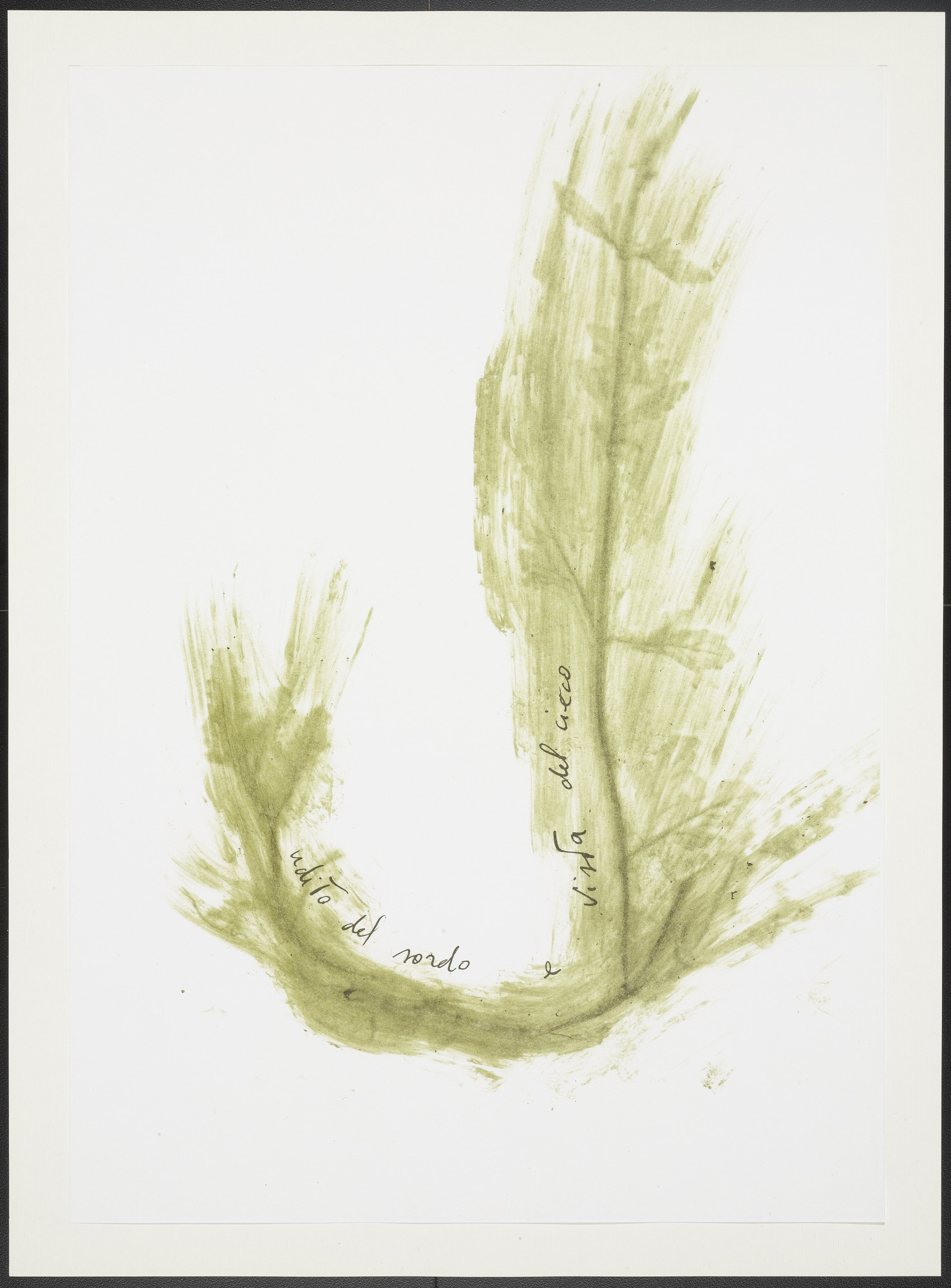 Giuseppe Penone. Untitled from Thirty-Three Herbs (Trentatre Erbe)