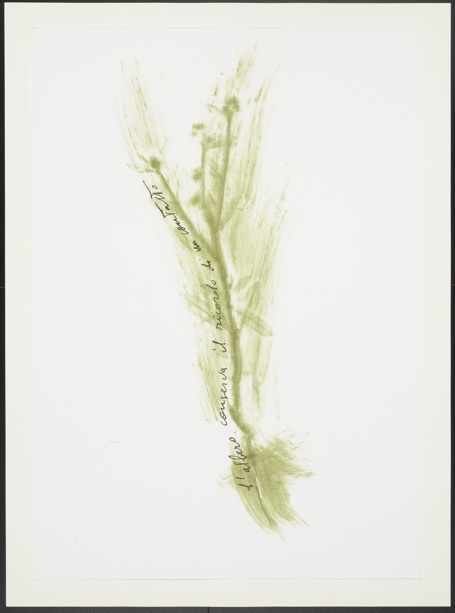 Giuseppe Penone. Untitled from Thirty-Three Herbs (Trentatre Erbe)