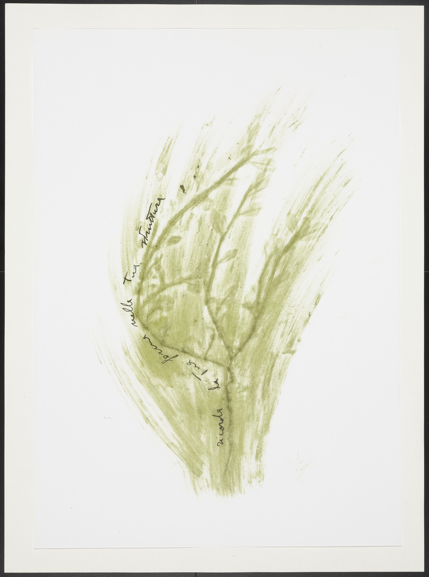 Giuseppe Penone. Untitled from Thirty-Three Herbs (Trentatre Erbe)