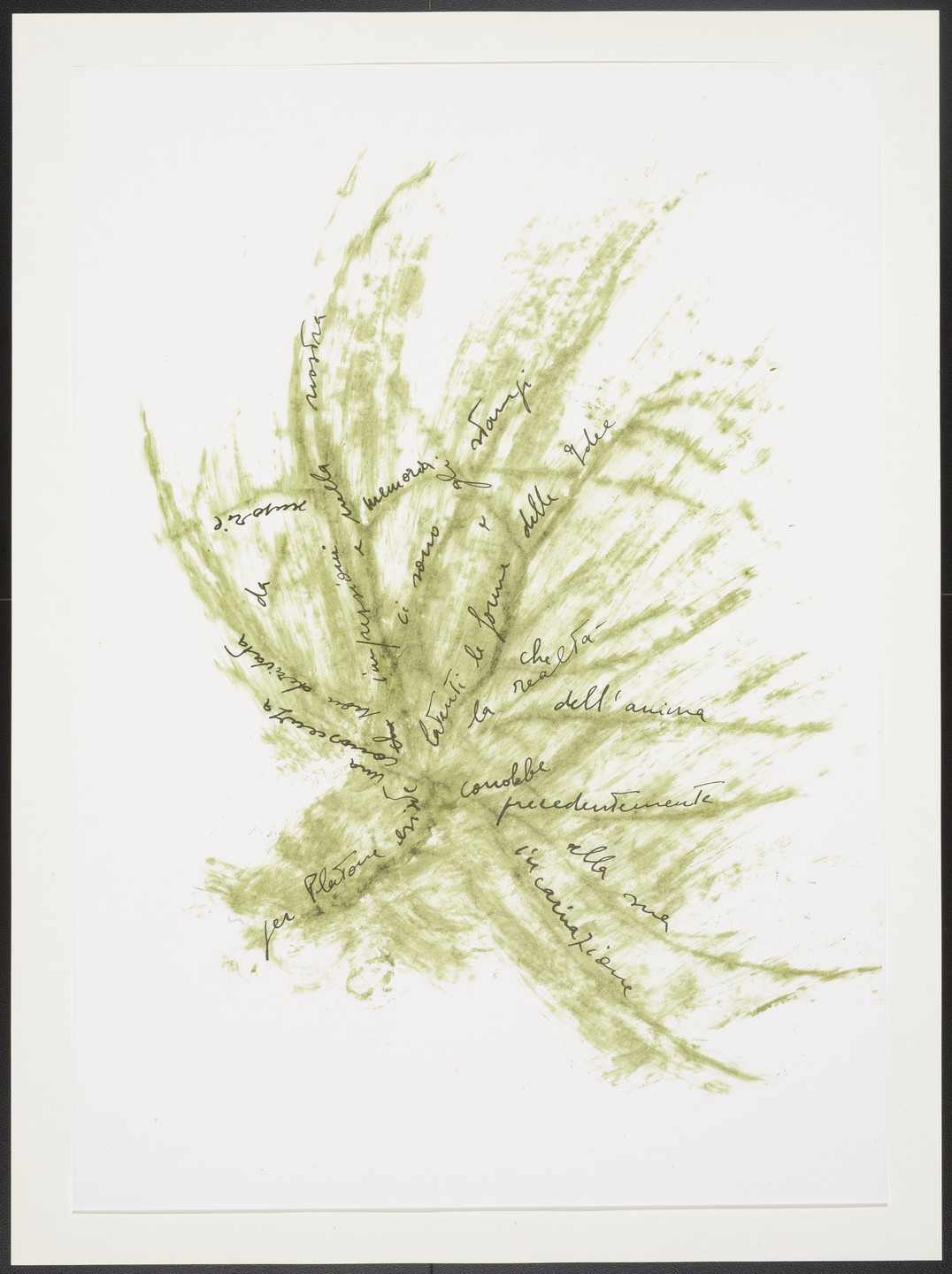 Giuseppe Penone. Untitled from Thirty-Three Herbs (Trentatre Erbe). 1989