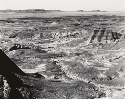 Petrified Forest National Monument, Arizona