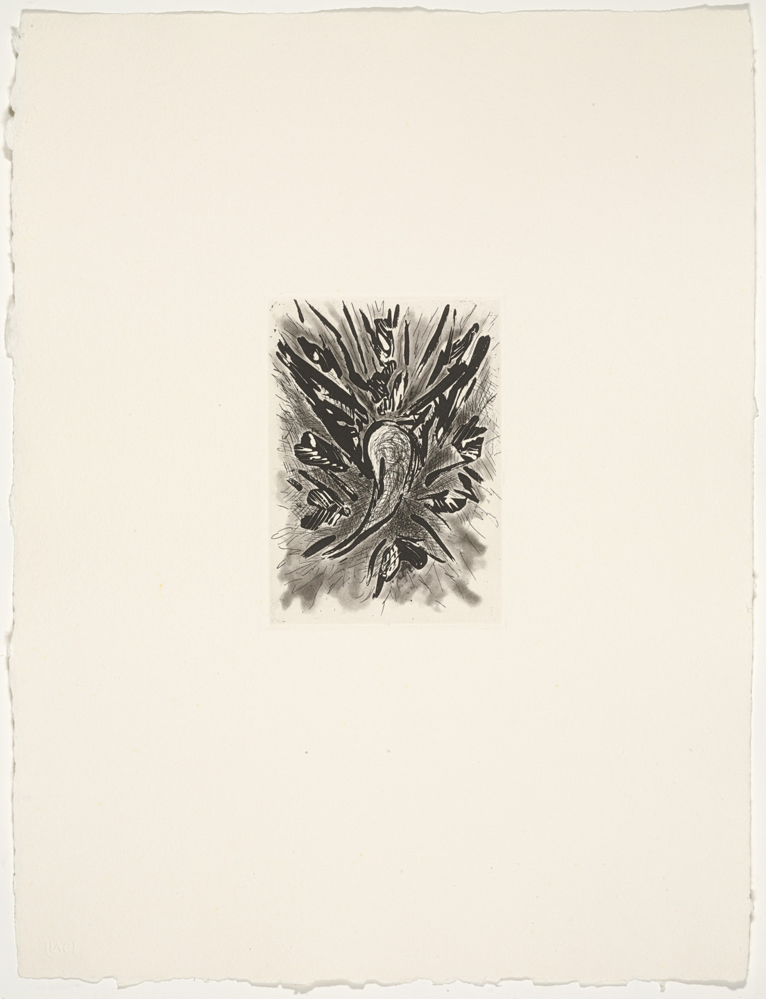 Bill Jensen. Mussels from Endless. 1983–85