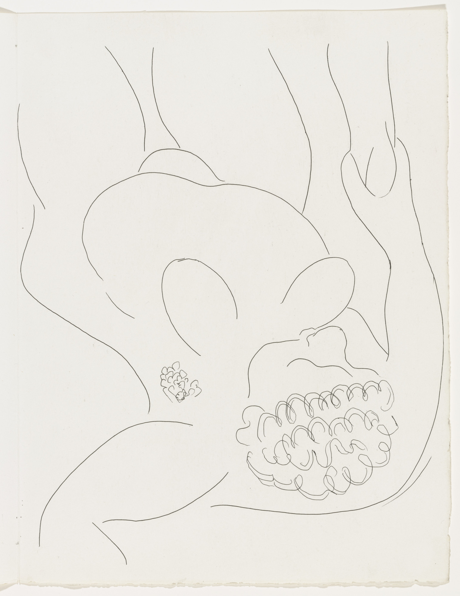 Henri Matisse. Une négresse par le démon... (A Negress Awakened by a Demon...) (plate, page 19) from Poésies (Poems)