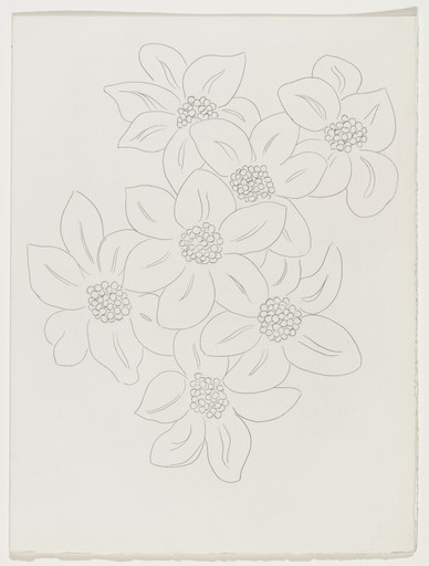 Henri Matisse. Les Fleurs ( Flowers ) (plate, page 29) from