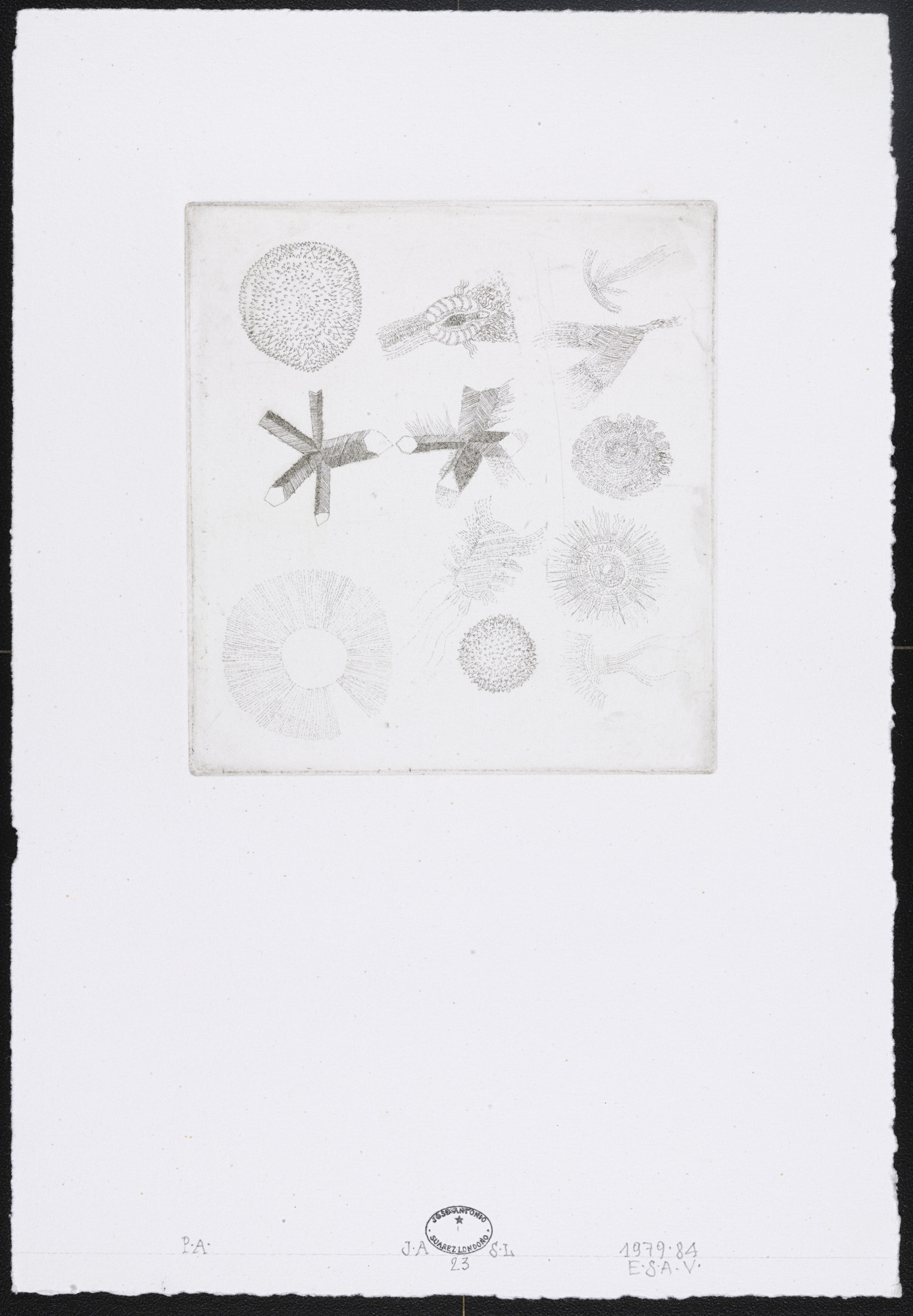 José Antonio Suárez Londoño. Untitled #23