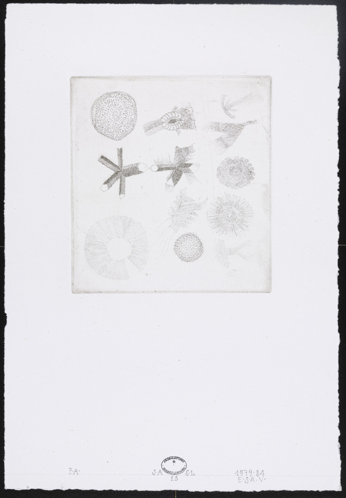 Untitled #23
