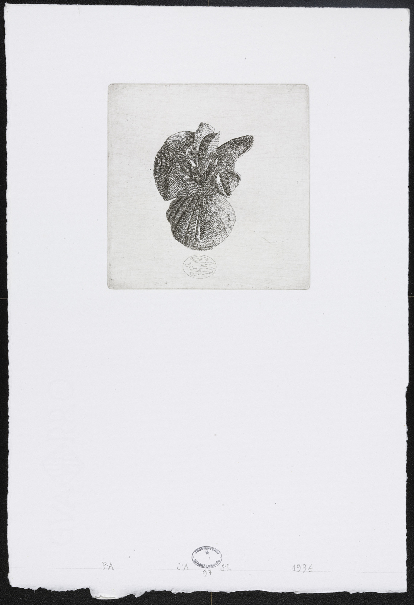 José Antonio Suárez Londoño. Untitled #97