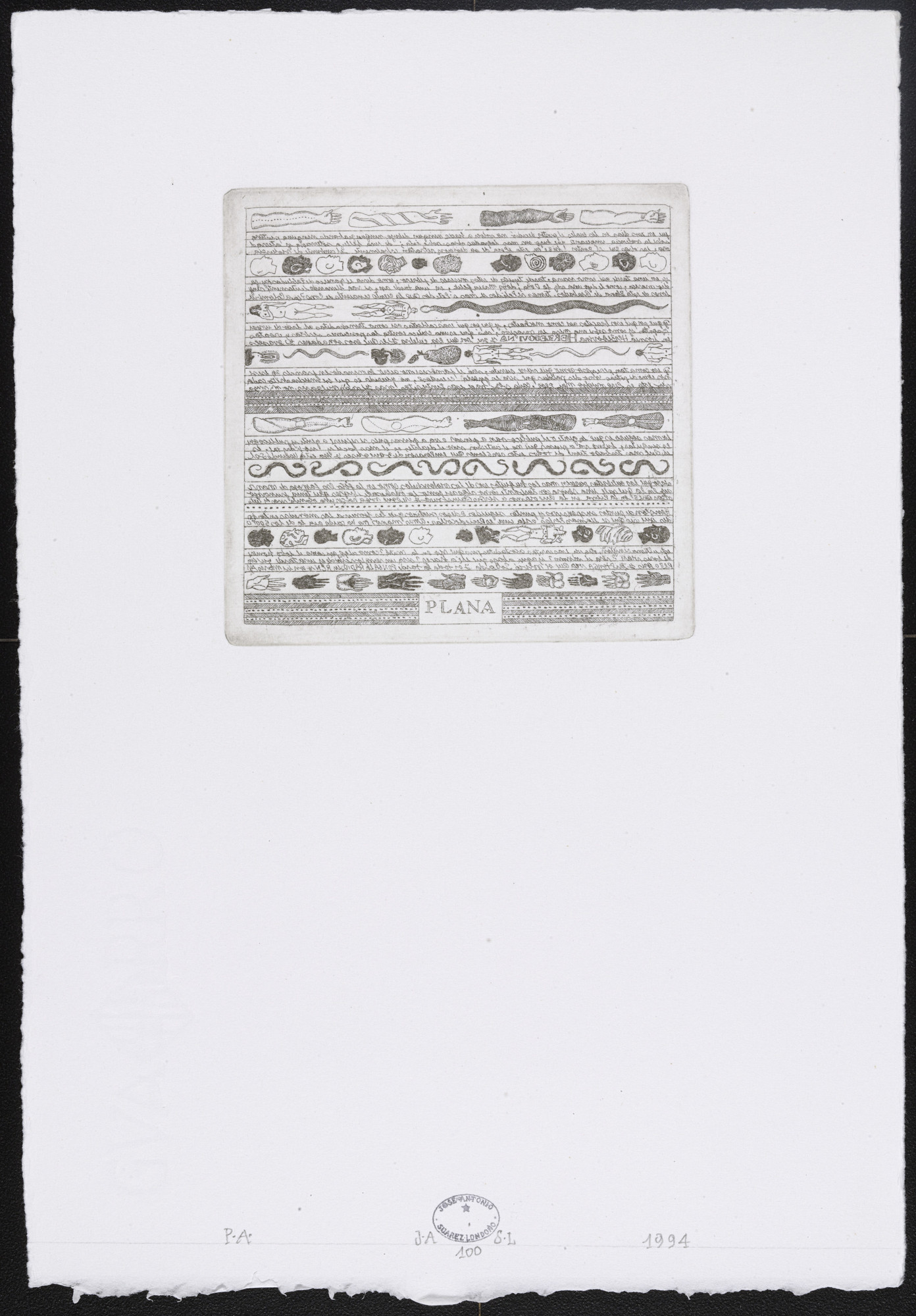 José Antonio Suárez Londoño. Untitled #100