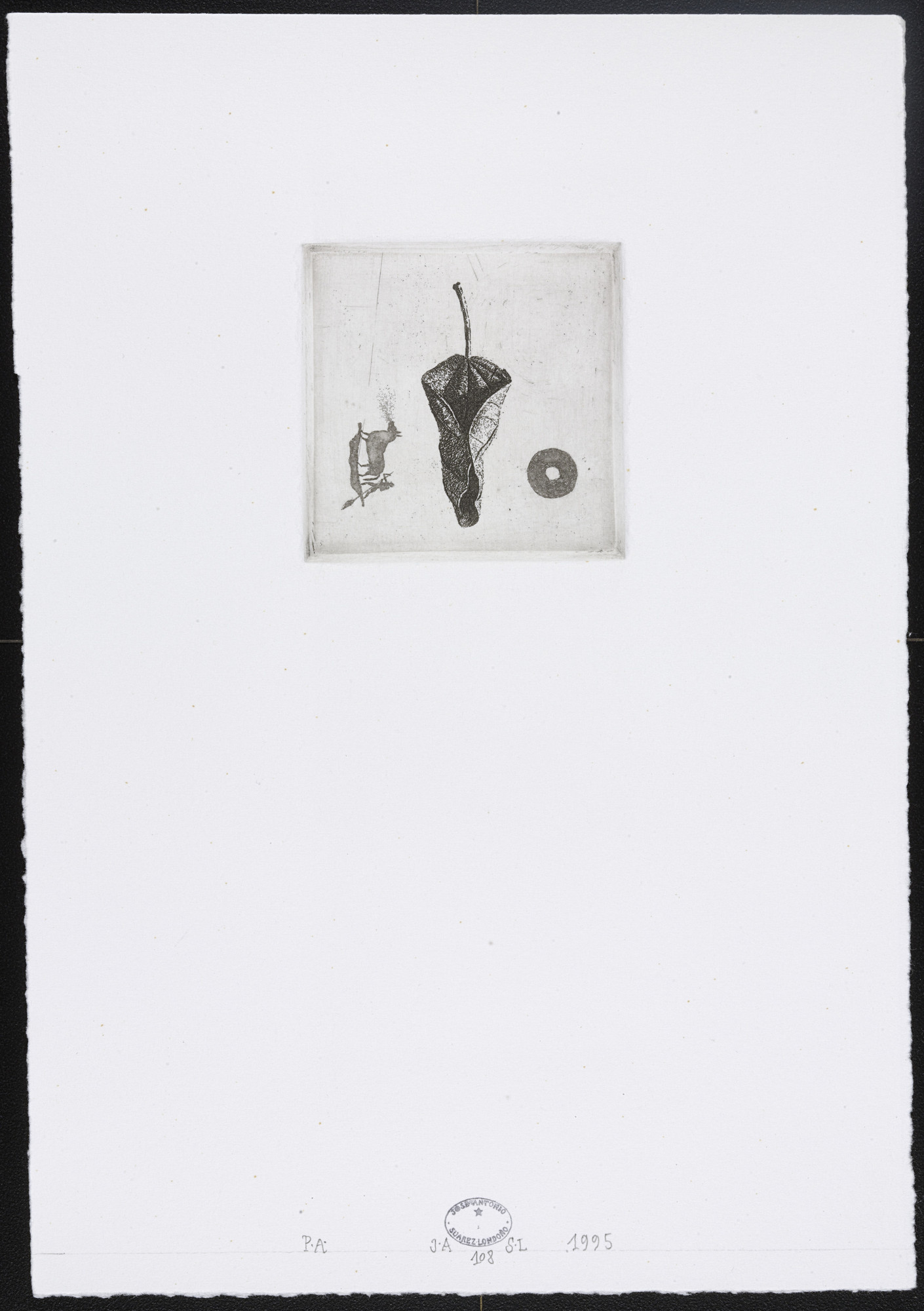 José Antonio Suárez Londoño. Untitled #108