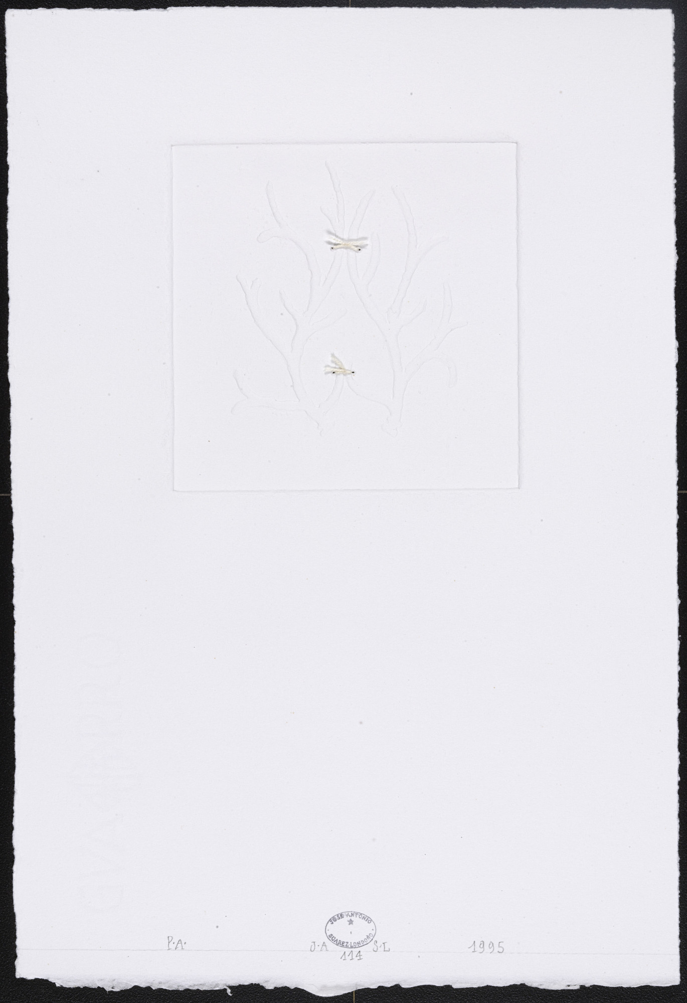 José Antonio Suárez Londoño. Untitled #114