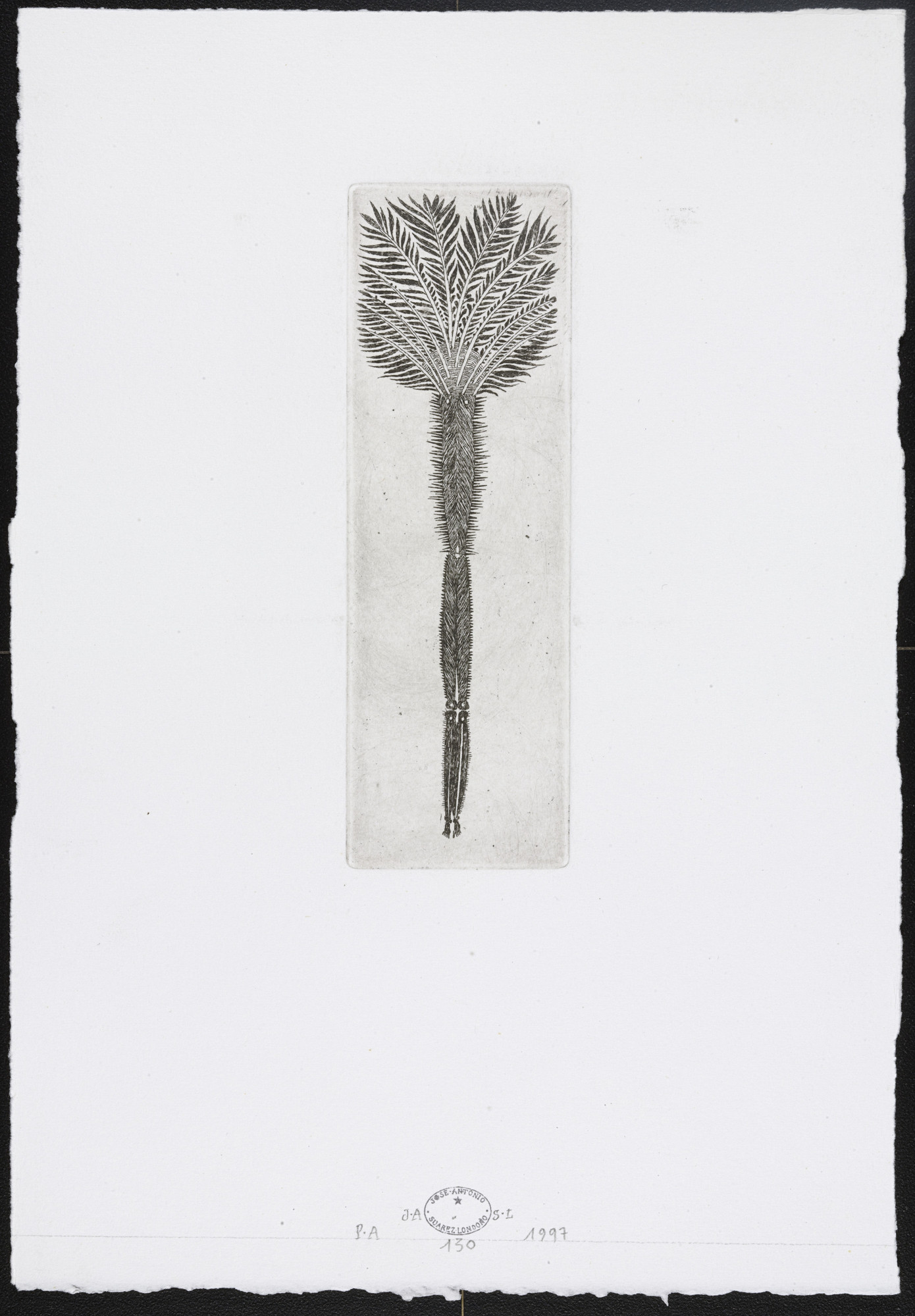 José Antonio Suárez Londoño. Untitled #130