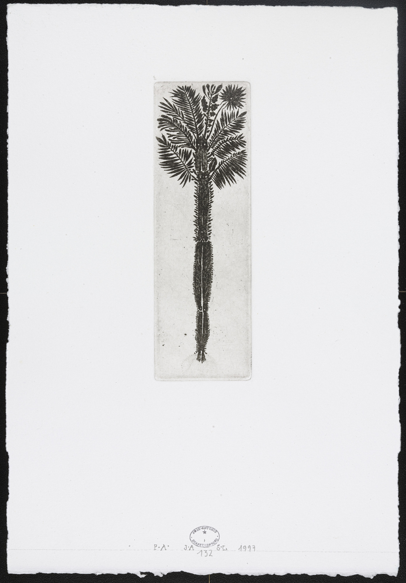 José Antonio Suárez Londoño. Untitled #132