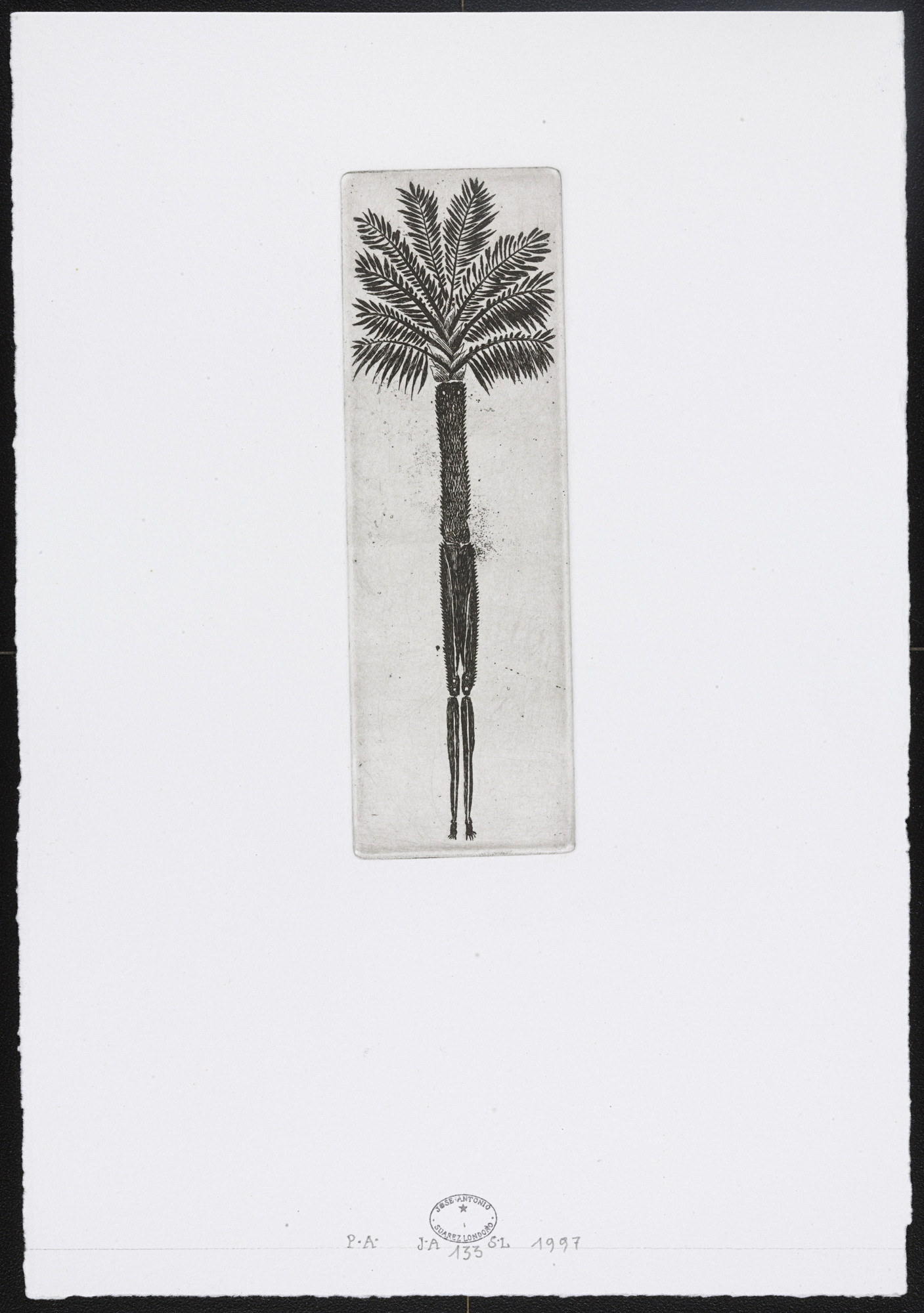 José Antonio Suárez Londoño. Untitled #133