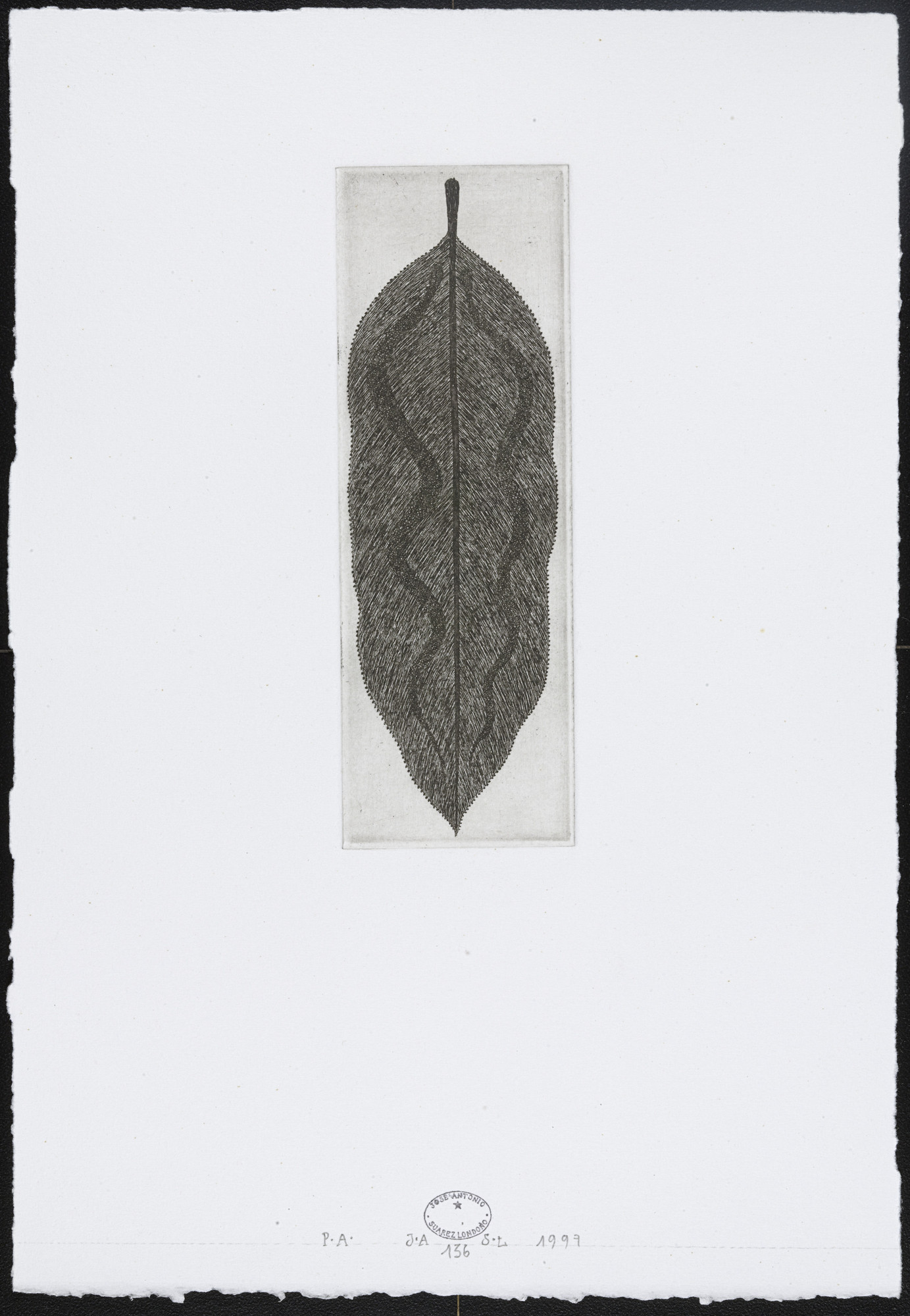 José Antonio Suárez Londoño. Untitled #136