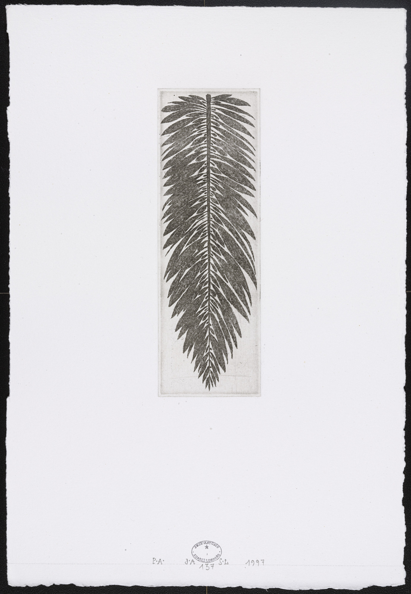 José Antonio Suárez Londoño. Untitled #137