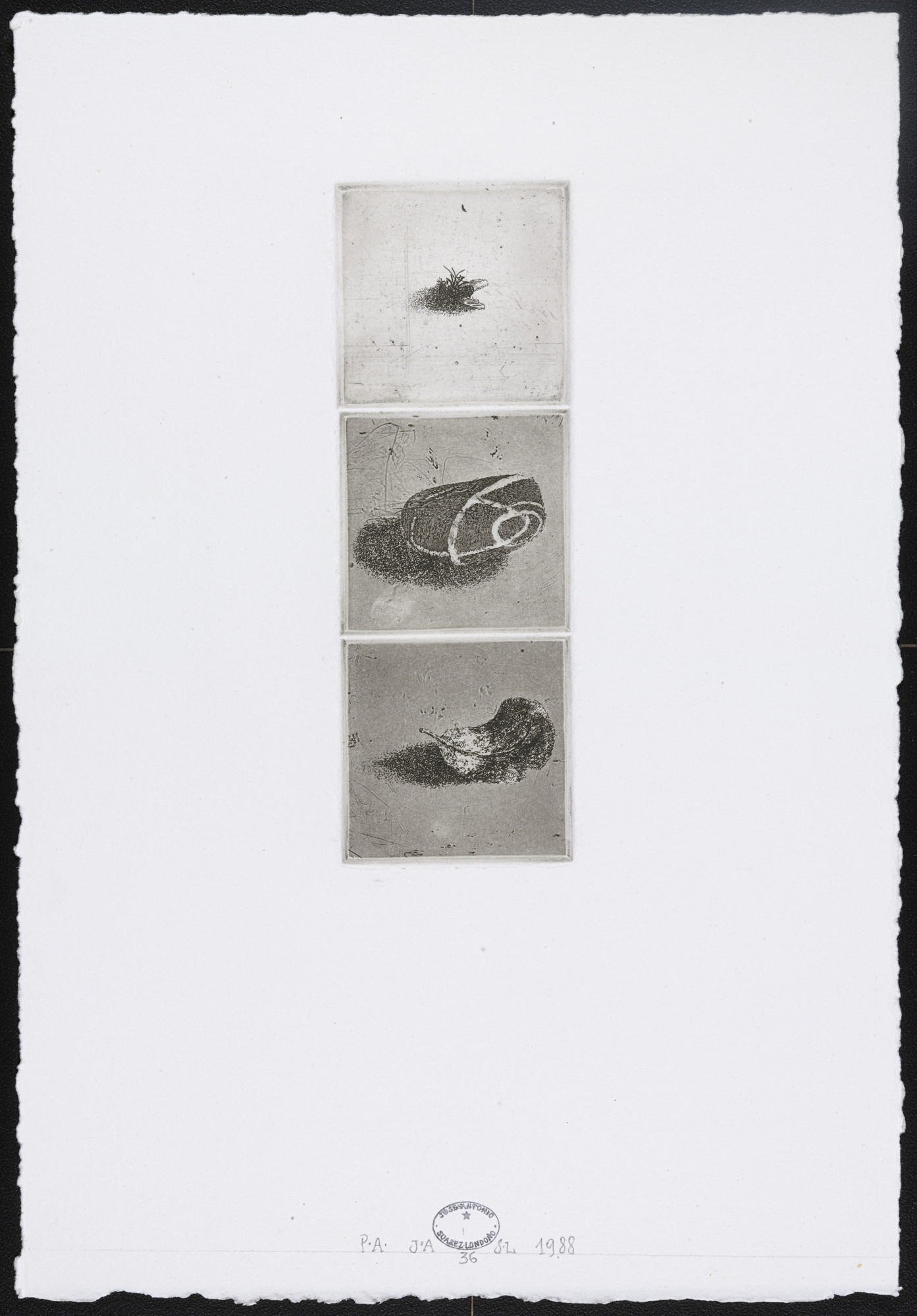 José Antonio Suárez Londoño. Untitled #36