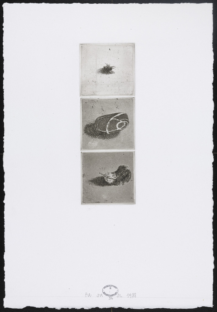 Untitled #36