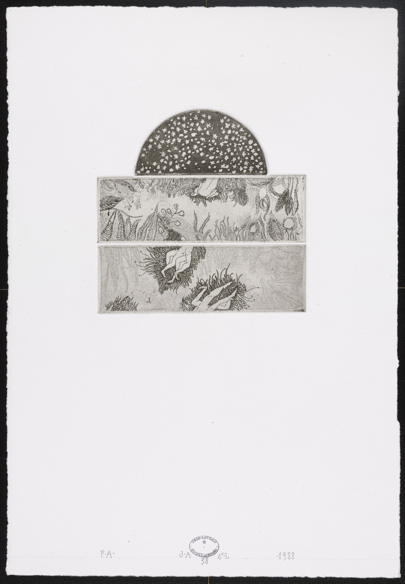 José Antonio Suárez Londoño. Untitled #38