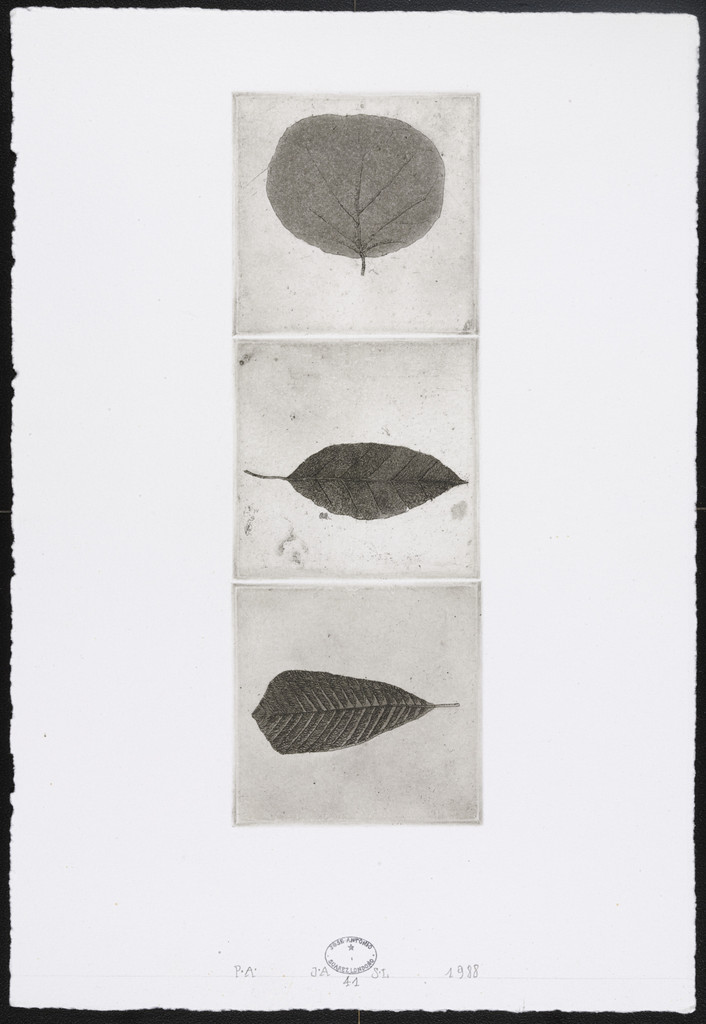 Untitled #41